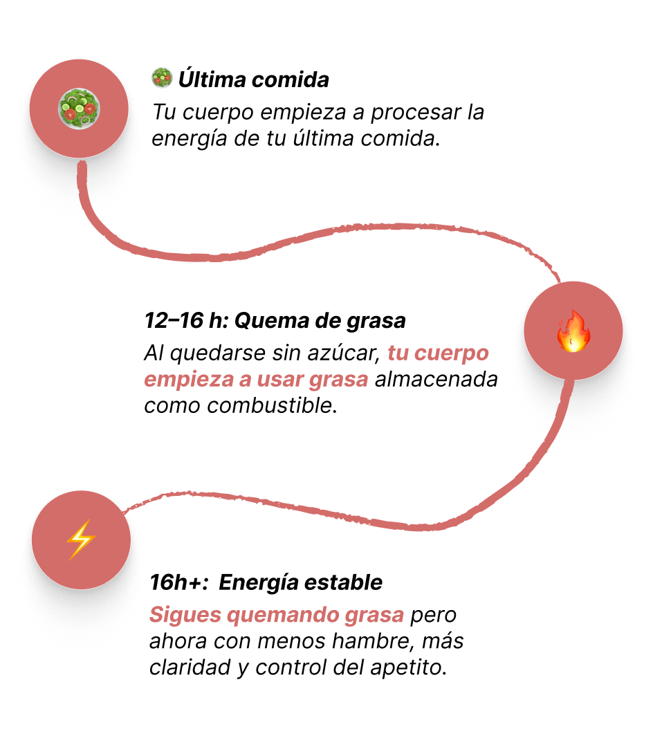 Características de la Guía